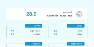 البيئة: مكة المكرمة تسجّل أعلى كمية لهطول الأمطار بـ (28.0) ملم في قصير بالجموم - خبر صح