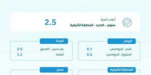 المنطقة الشرقية الأعلى معدلاً بـ 2.5 ملم.. هطول أمطار بكميات متفرقة على 6 مناطق خلال الـ24 ساعة الماضية - خبر صح