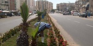 حدائق مناخ بورسعيد تزداد جمالا في رمضان.. صور - خبر صح