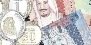 سعر الريال السعودي اليوم في مصر وفقا لآخر تحديثات - خبر صح