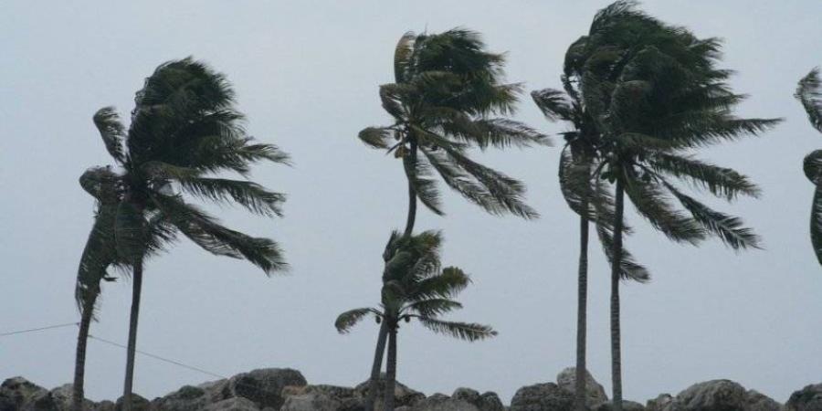 الأرصاد: رياح شديدة وارتفاع للأمواج على محافظة جزر فرسان - خبر صح