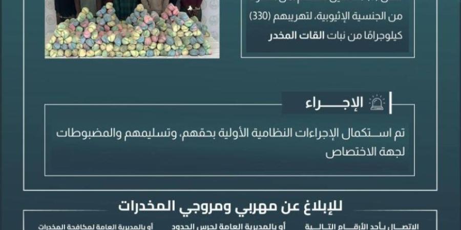 حرس الحدود بعسير يقبض على (8) مخالفين لتهريبهم (330) كيلوجرامًا من القات المخدر - خبر صح