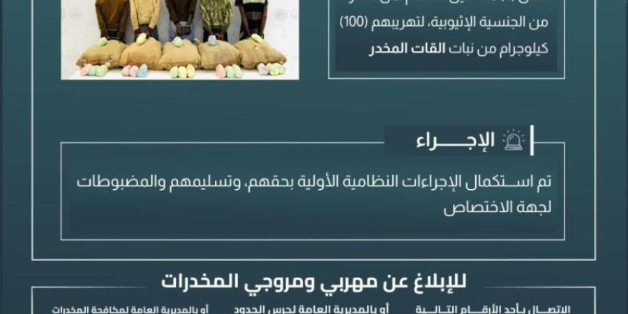 حرس الحدود بعسير يقبض على (5) مخالفين لتهريبهم (100) كيلوجرام من القات المخدر - خبر صح