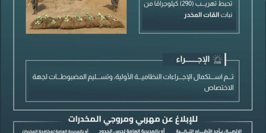 حرس الحدود بجازان يحبط تهريب (290) كيلوجرامًا من القات المخدر - خبر صح