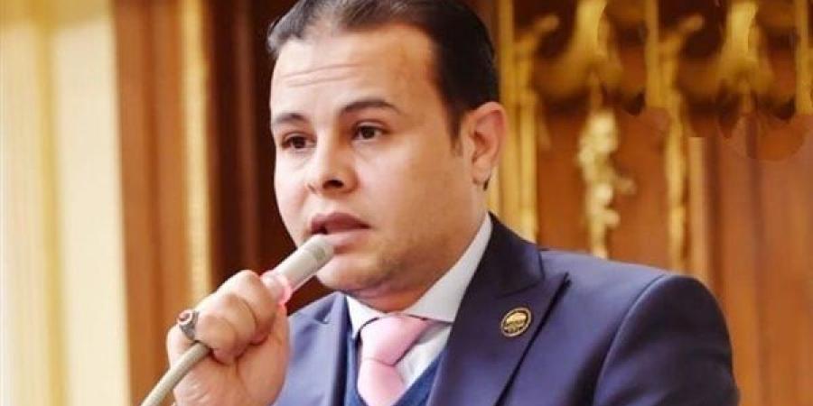 برلماني: كلمة الرئيس بالقمة العربية الطارئة تؤكد ثبات الموقف المصري - خبر صح