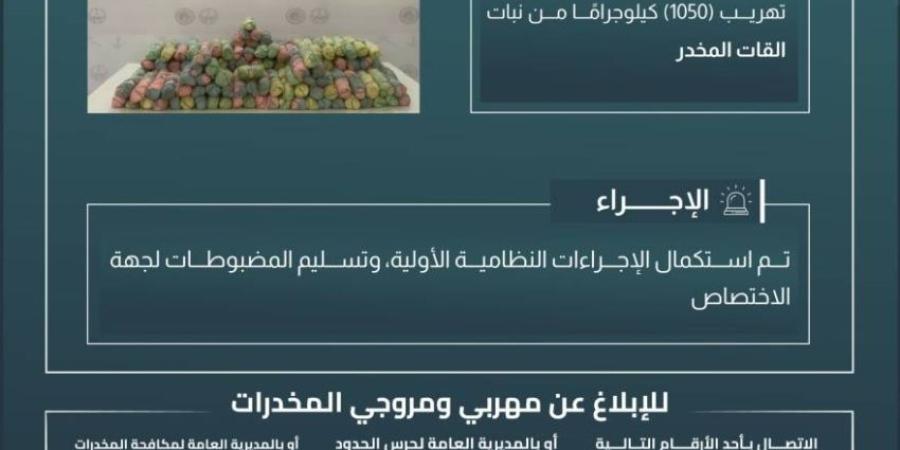 حرس الحدود بعسير يحبط تهريب (1050) كيلوجرامًا من القات المخدر - خبر صح