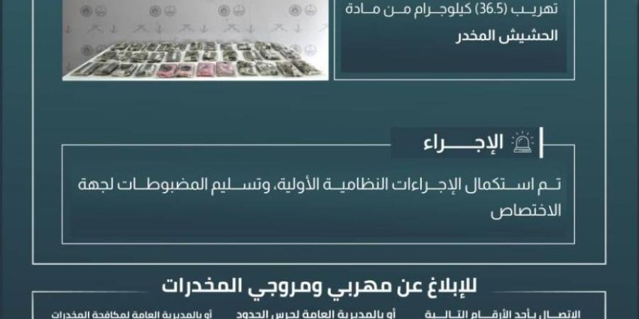 حرس الحدود بعسير يحبط تهريب 36.5 كيلوجرامات من مادة الحشيش المخدر - خبر صح