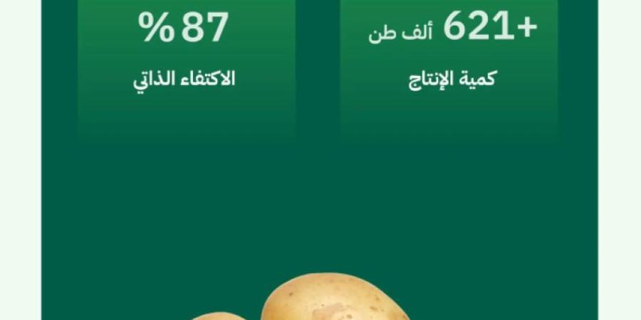 البطاطس في المملكة.. غذاء رمضاني مستدام ونسبة اكتفاء ذاتي وصلت 87% - خبر صح