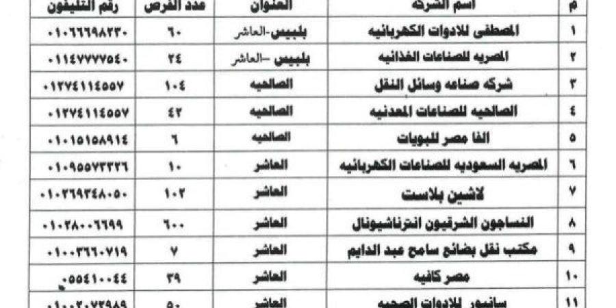 توفير 1837 فرصة عمل داخل 20 مصنعا وشركة بالقطاع الخاص بالشرقية - خبر صح