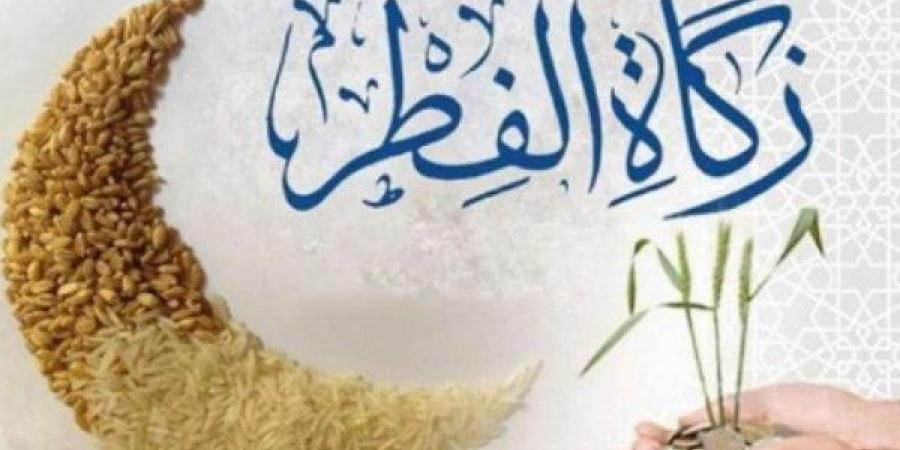 ما قيمة زكاة الفطر والحالات التي لا تجزئ فيها الفدية عن الصيام؟.. المفتي يجيب - خبر صح