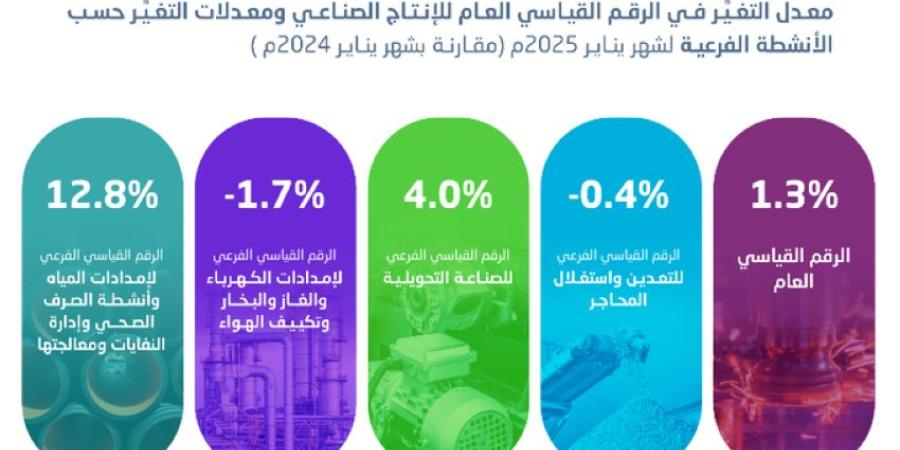 هيئة الإحصاء : ارتفاع الرقم القياسي للإنتاج الصناعي بنسبة 1.3 %خلال شهر يناير 2025 - خبر صح