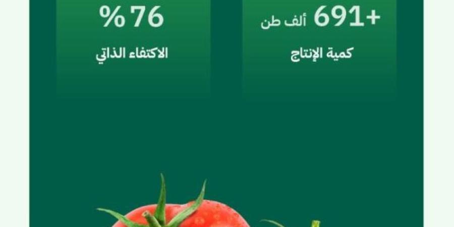 البيئة: إنتاج محلي متنامٍ من الطماطم يفوق 691 ألف طن بنسبة اكتفاء ذاتي تجاوزت 76% - خبر صح