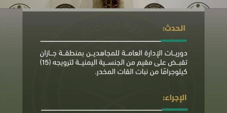 دوريات المجاهدين بجازان تقبض على مقيم لترويجه (15) كيلوجرامًا من القات المخدر - خبر صح